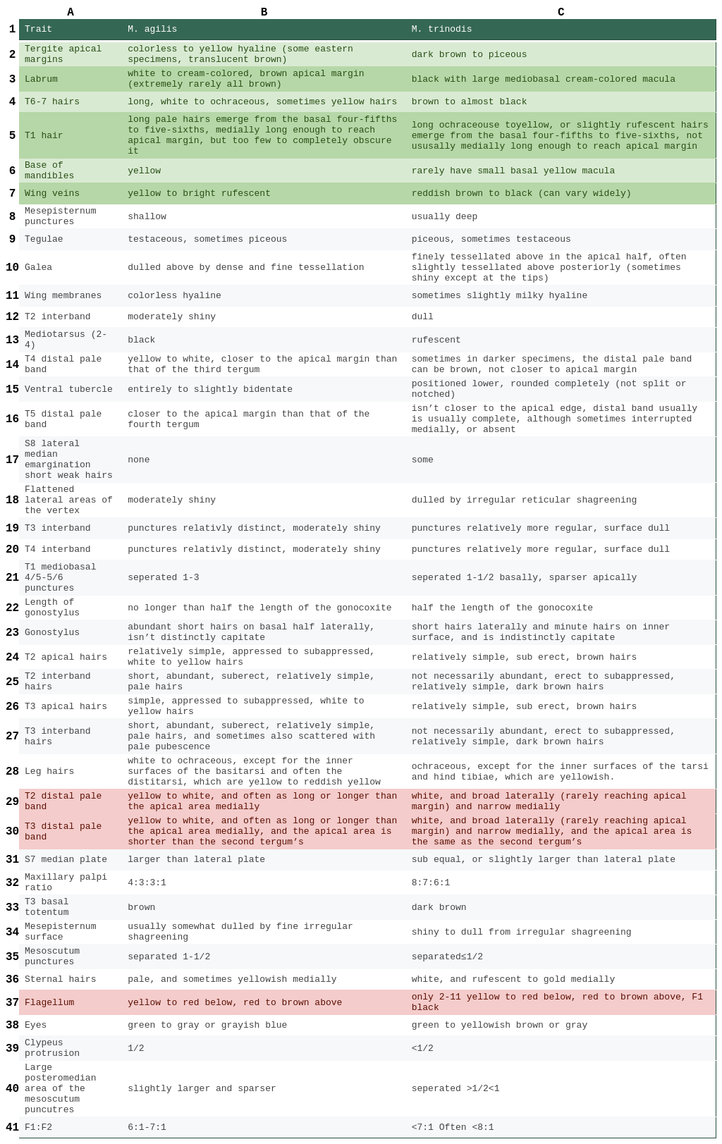 Melissodes agilis vs. Melissodes trinodis table male