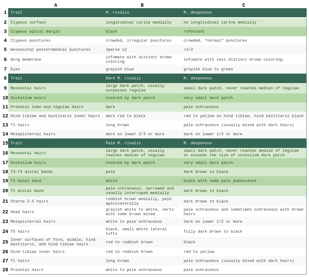Melissodes rivalis vs. Melissodes desponsus table female